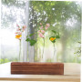 Support Hydroponique Tube à Essai pour Plantes – Pot de Fleur en Verre et Bois, Vase Décoratif Bureau, Conteneur de Composition
