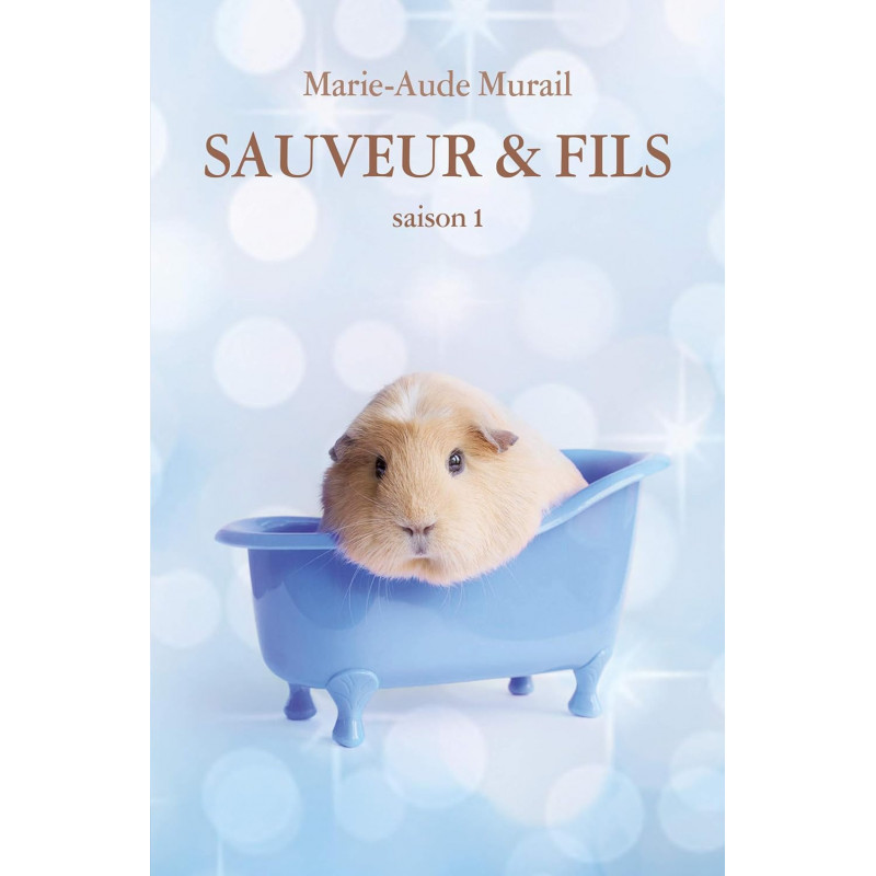Sauveur & Fils (Saison 1)