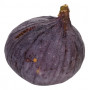 Figues 1pc