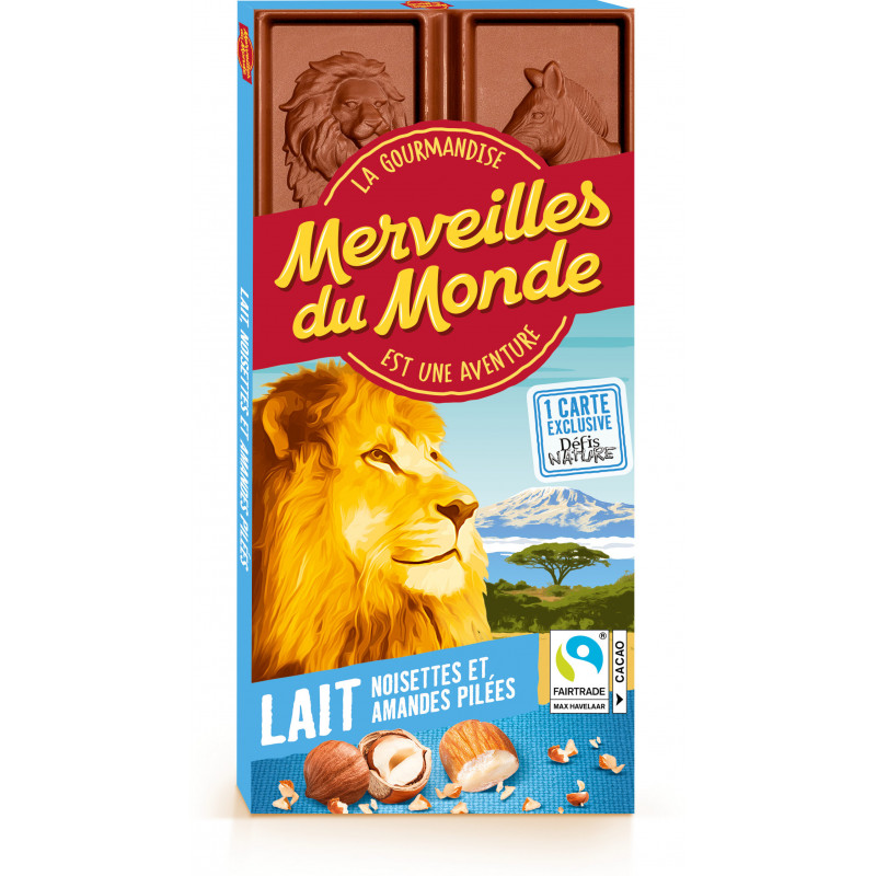 MERVEILLES chocolat Lait 100g noisettes et amandes pilées