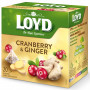 LOYD Thé Cranberry & Ginger 20 sachets