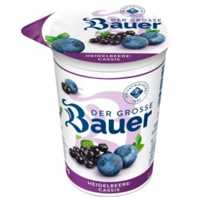 BAUER Yaourt Cassis 225g