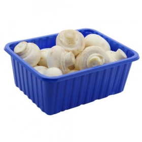 Champignons blanc de paris Barquette 250g