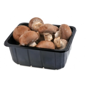 Champignons brun de Paris Barquette 250g