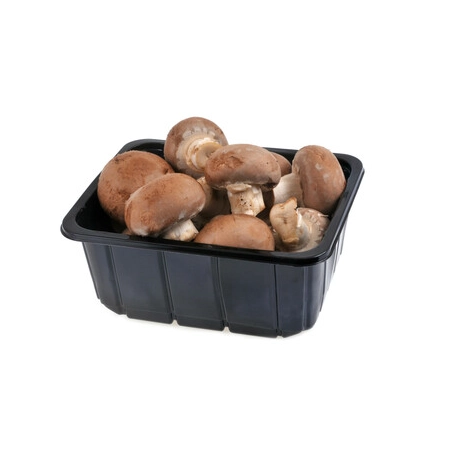 Champignons brun de Paris Barquette 250g