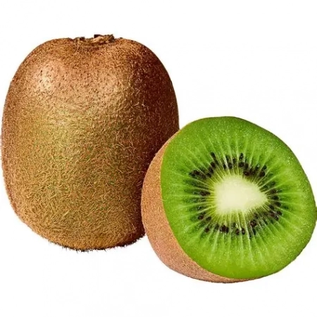 Nomatic Fresh - Kiwi vert Bio (pièce)