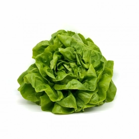 Salade laitue (pièce)