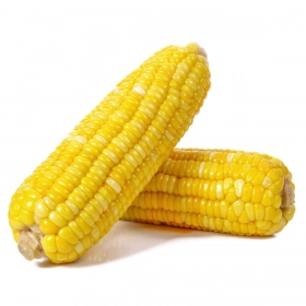 PROACTIF - Cooked Corn on the Cob 2 Pieces