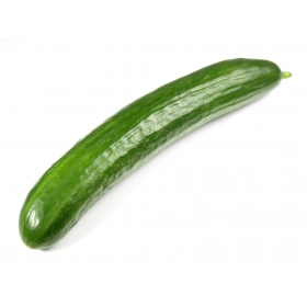 Nomatic Prime Cucumber (piece)