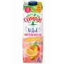 COMPAL Vital Protection Anti-OX Orange, carotte, mangue 1L