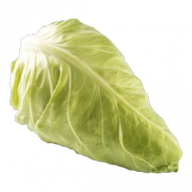FRESH - Pointed cabbage (piece)
