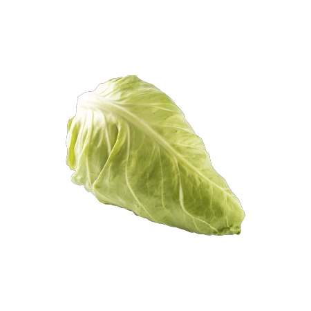 FRESH - Chou pointu (pièce)