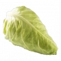 FRESH - Pointed cabbage (piece)