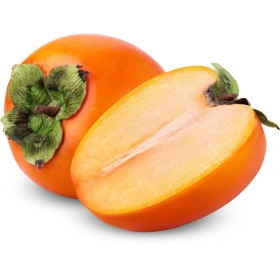 FRESH - Kaki Sharon (pièce)