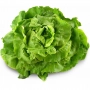 FRESH - Lettuce Salad (piece)