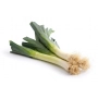 Leek Bunch (piece)