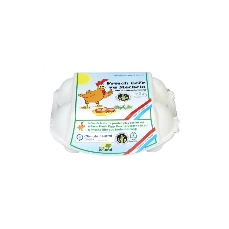 Free-range chicken eggs L 6 pieces - Mathay