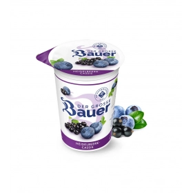 BAUER Yaourt Cassis 250g