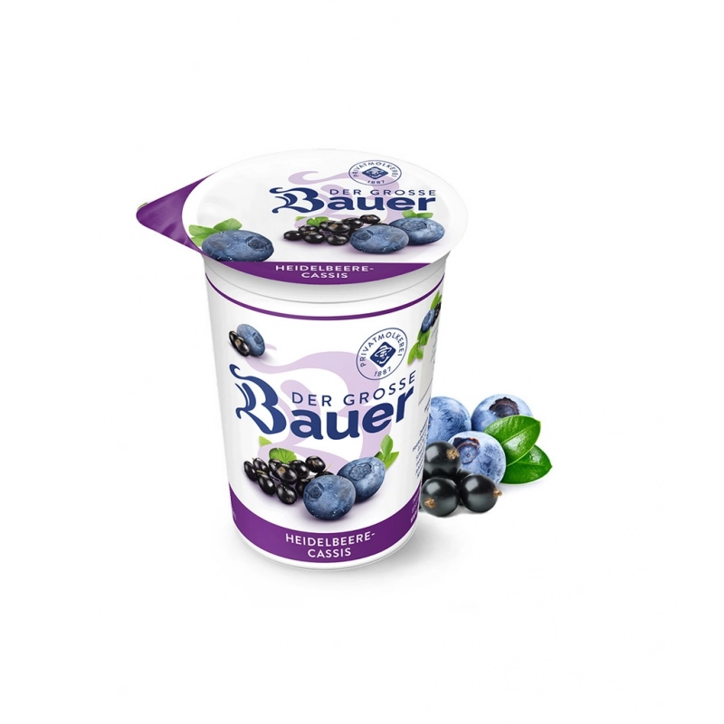 BAUER Yaourt Cassis 250g