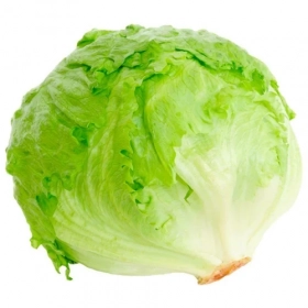 FRESH - Iceberg salad (piece)