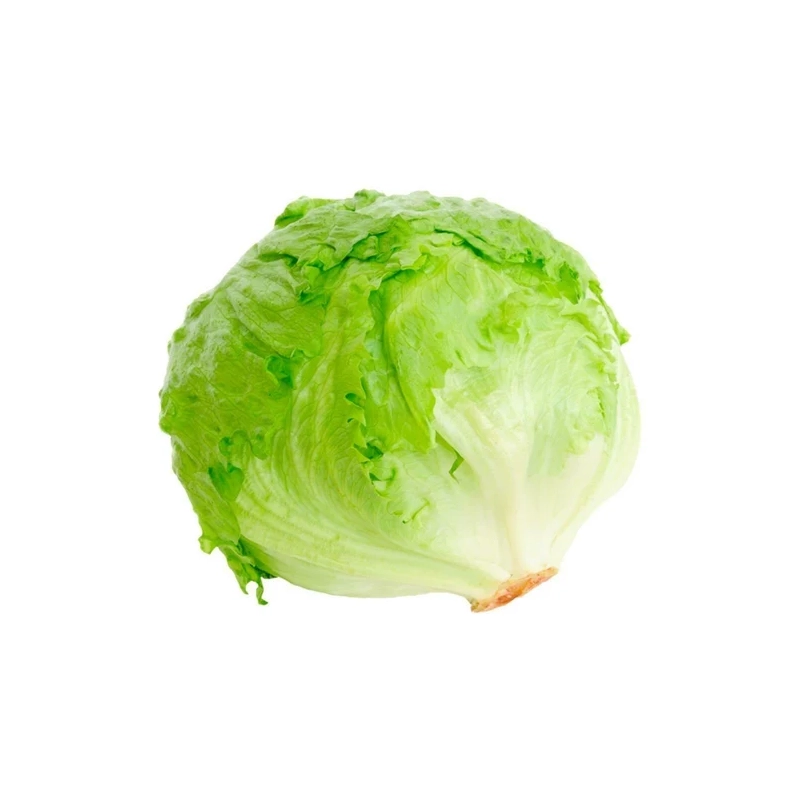 FRESH - Salade Iceberg (pièce)