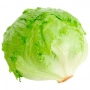 FRESH - Iceberg salad (piece)