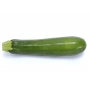 FRESH - Zucchini (nach Gewicht)
