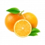 FRESH - Oranges feuilles (au poids)