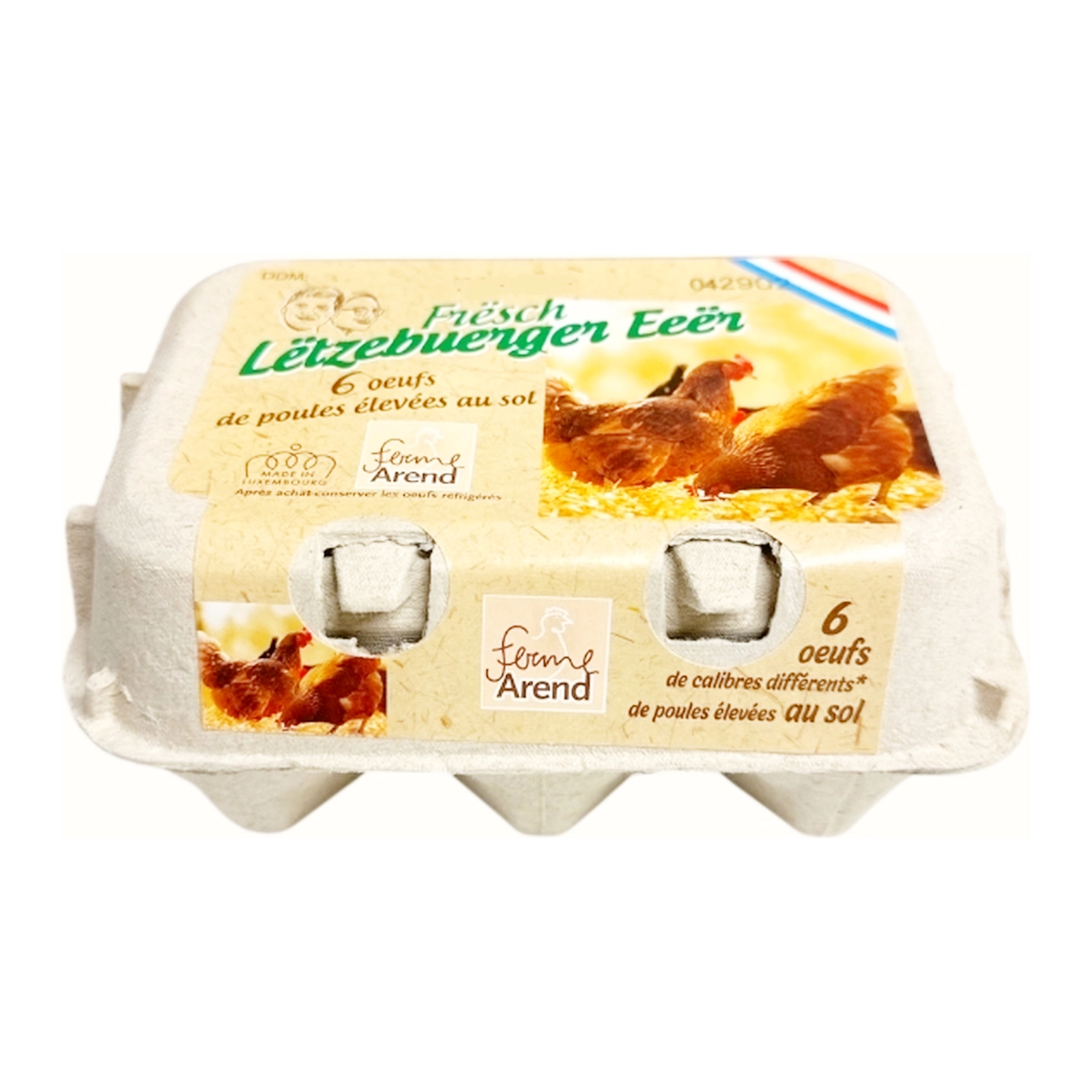 Oeufs de poules élevées au sol L 6 pièces - Arend