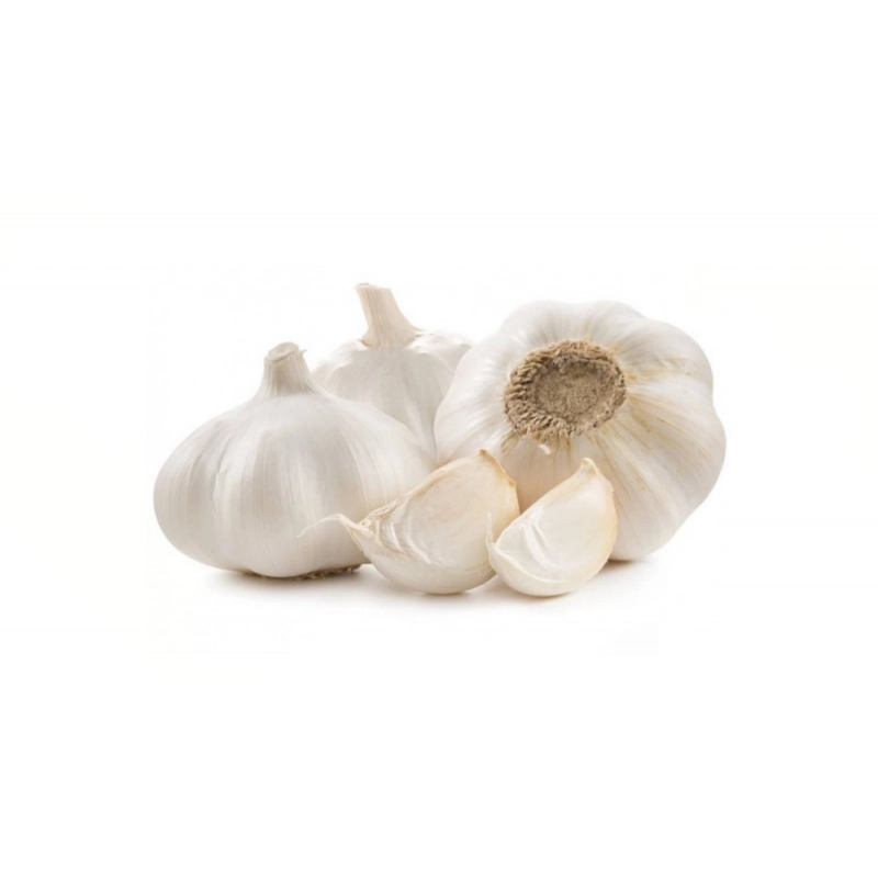 FRESH - Ail blanc (au poids)