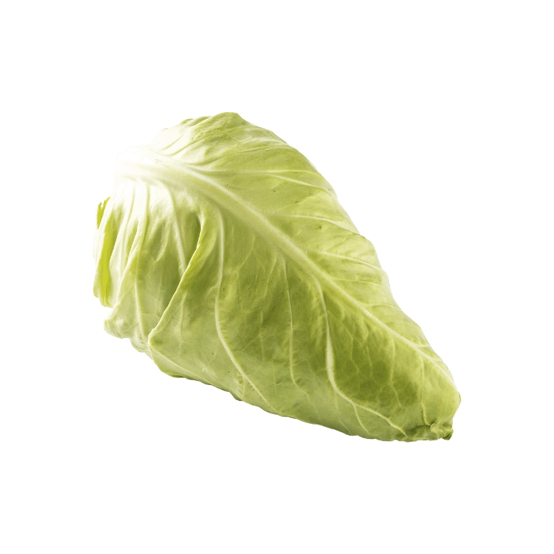 FRESH - Chou pointu (pièce)