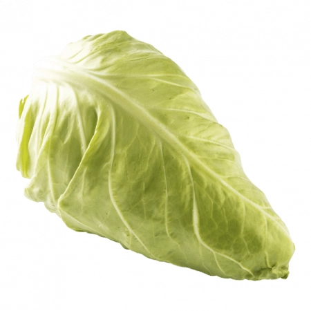 FRESH - Chou pointu (pièce)