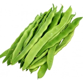 FRESH - Haricots long 400g