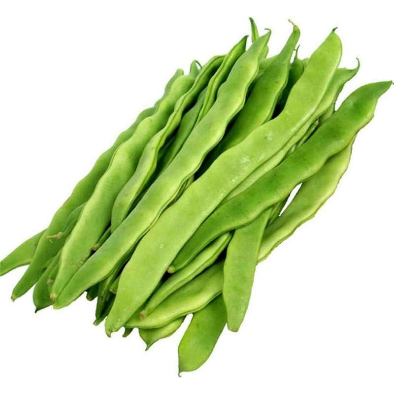 FRESH - Haricots long 400g