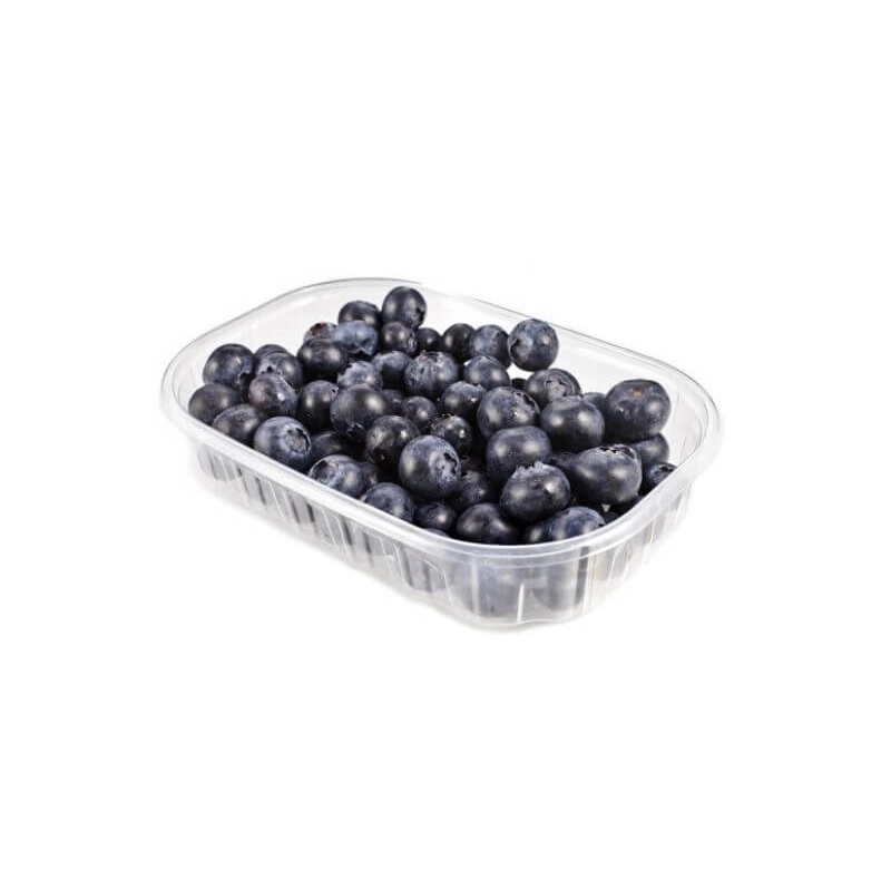 FRESH - Myrtille Barquette 125g