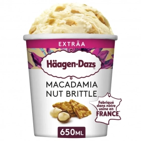 HÄAGEN-DAZS Macadamia Nut Brittle 650ml