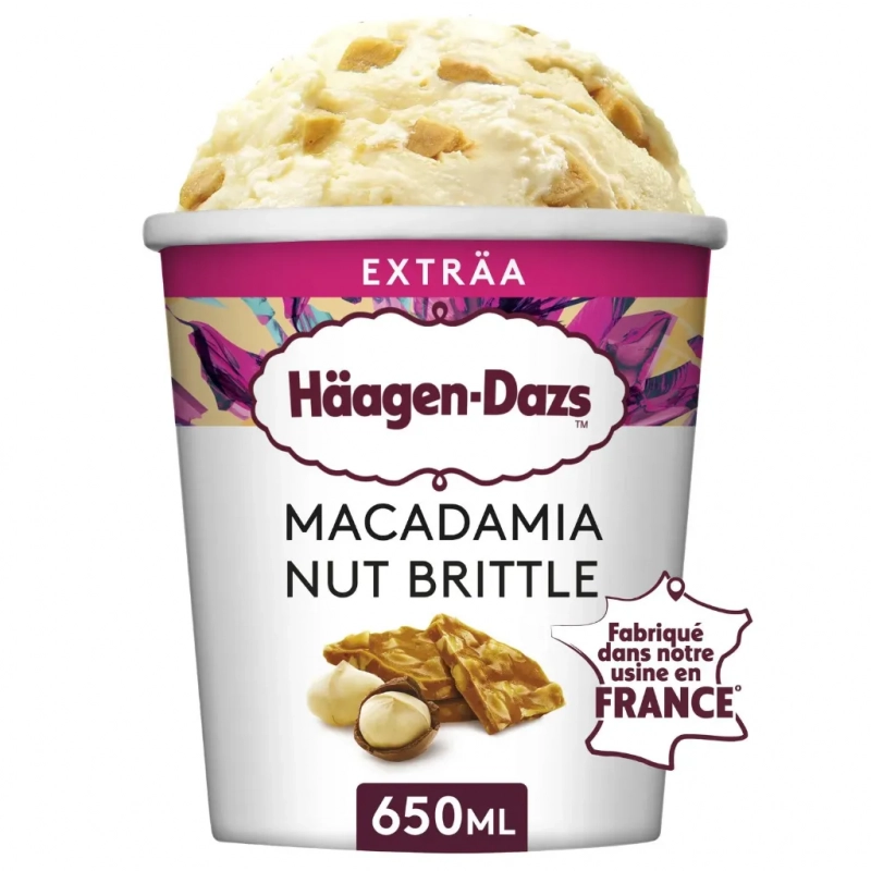 HÄAGEN-DAZS Macadamia Nut Brittle 650ml