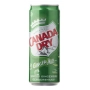 CANADA DRY Ginger Ale 33cl