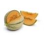 FRESH - Melon Charentais (au poids)