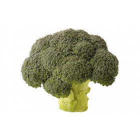 FRESH - Brocoli (pièce)
