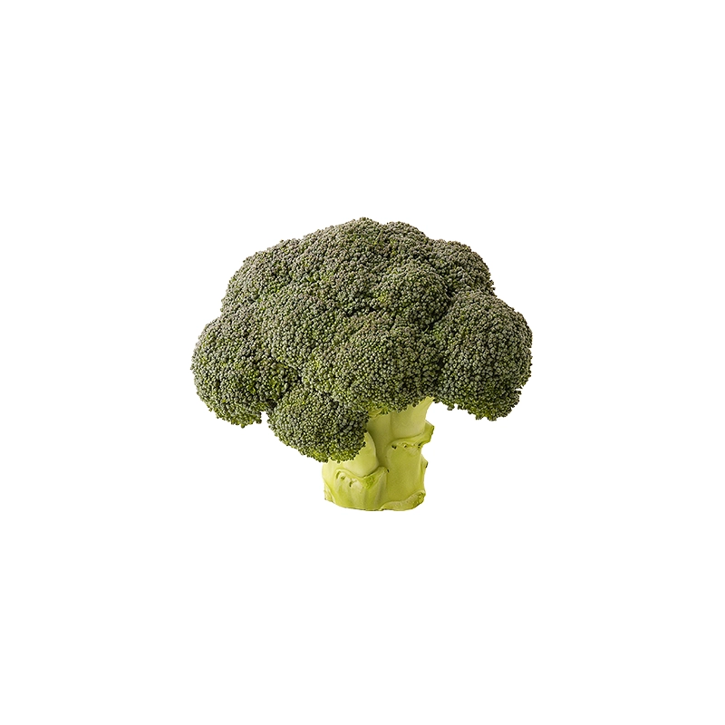 FRESH - Brocoli (pièce)