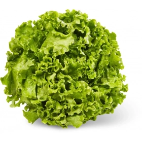 Organic green Batavia salad (piece)