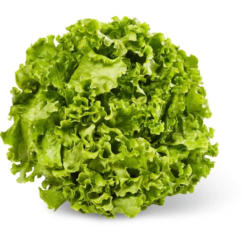 Organic green Batavia salad (piece)