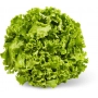 Organic green Batavia salad (piece)