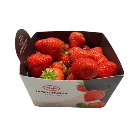 Fraise Calibre AA Barquette 500g