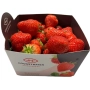Fraise Calibre AA Barquette 500g