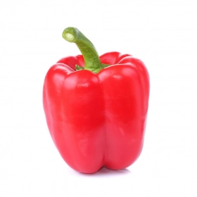 FRESH - Poivron Rouge (pièce)