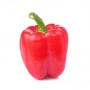 FRESH - Poivron Rouge (pièce)