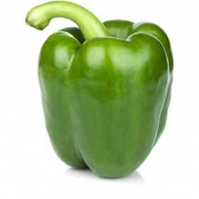FRESH - Poivron Vert (pièce)