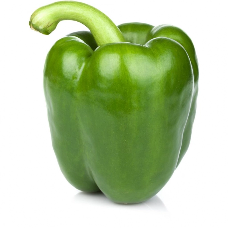 FRESH - Poivron Vert (pièce)
